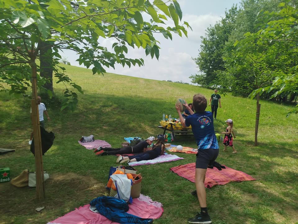 Photo de l'album